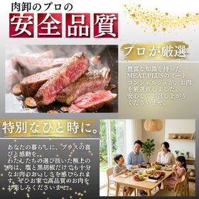 【250g】九州産黒毛和牛 サーロインステーキ 至福のひとときを贈る贅沢体験