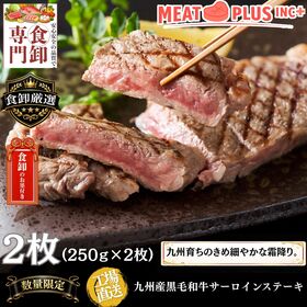 【計500g/250g×2枚】九州産黒毛和牛 サーロインステーキ 至福のひとときを贈る贅沢体験