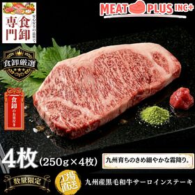 【計1kg/250g×4枚】九州産黒毛和牛 サーロインステーキ 至福のひとときを贈る贅沢体験
