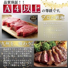 【計200g/100g×2枚】九州産黒毛和牛ヒレステーキ  驚くほどの柔らかさと上品な赤身の旨味