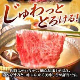 【計500g/250g×2P】九州産黒毛和牛スライス 《至福の食卓を皆様で》