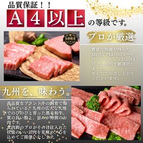 【250g】九州産黒毛和牛 焼肉用 きれいなサシととろける脂の旨み