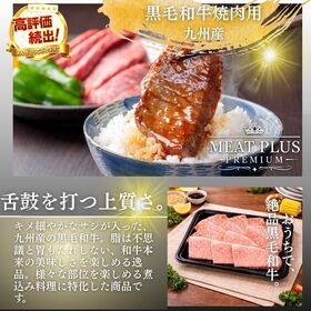 【計1kg/250g×4P】九州産黒毛和牛 焼肉用 きれいなサシととろける脂の旨み