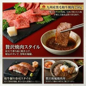 【計500g/250g×2P】九州産黒毛和牛焼肉用 《感謝を伝える焼肉ギフト》