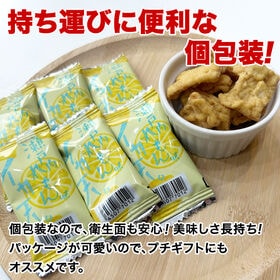 ＜シンプル百科＞【約105g(66袋前後)】いか天瀬戸内レモン さっぱりレモン風味♪便利な個包装