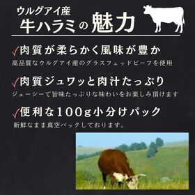 【計2kg/100g×20P】グラスフェッドビーフ【高級】牛ハラミ 焼き肉用