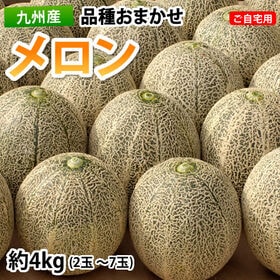 【予約受付】5/22~順次出荷【2~7玉 約4kg】九州産 ...