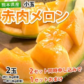 【予約受付】5/22~順次出荷【2玉】熊本県産 小玉 赤肉メ...