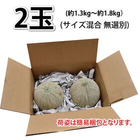 【予約受付】5/22~順次出荷【2玉】熊本県産 小玉 赤肉メロン(ご家庭用・傷あり)