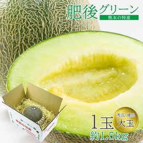 【予約受付】5/20~順次出荷【1.5kg以上(1玉)】熊本県産 肥後グリーン | 果肉は甘みが強く完熟すると果汁が豊富でとろけるような舌触りです。