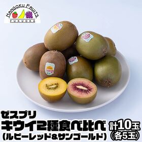【予約受付】4月中旬~順次出荷【NZ】計10玉 キウイ2種食...
