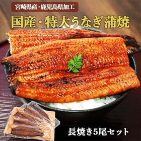 【約160g×5パック】国産 特大うなぎ蒲焼 長焼き5尾セット
