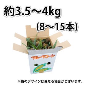 【予約受付】6/2~順次出荷【約3.5~4kg】ゴールドラッシュ とうもろこし 九州産