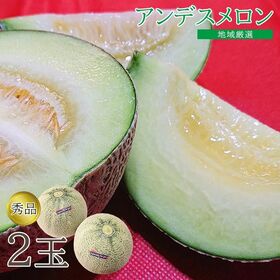 【予約受付】4/20~順次出荷【秀品2玉】アンデスメロン | 小ぶりな見た目で、とっても甘いメロンをお楽しみください♪