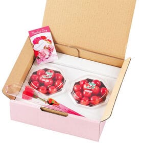 【予約受付】5/7~順次出荷【100g×2】山形県産ハウスさくらんぼ佐藤錦ダイヤパック母の日セット