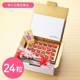 【予約受付】5/7~順次出荷【24粒】山形県産ハウスさくらんぼ佐藤錦 母の日セット【冷蔵】