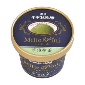 【72個】千本松牧場　復刻版プレミアムアイスクリームミレピーニ　宇治抹茶