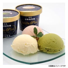 【48個】千本松牧場　復刻版プレミアムアイスクリームミレピーニ　ミルクコーヒー
