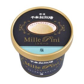 【72個】千本松牧場　復刻版プレミアムアイスクリームミレピーニ　塩