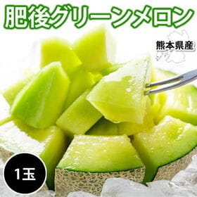 【予約受付】6/2~順次出荷【1玉 約1.2~1.8kg】熊本県産肥後グリーンメロン | 熊本を代表する風味豊かな人気のメロン♪