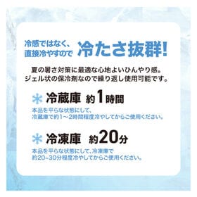 【ライトブルー】ひんやりジェルキャリー