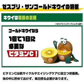 【ニュージーランド】 XL約6kg  ゼスプリ・サンゴールドキウイ