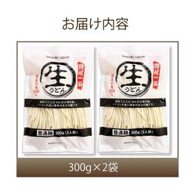 【6食（300g×2袋】讃岐うどん