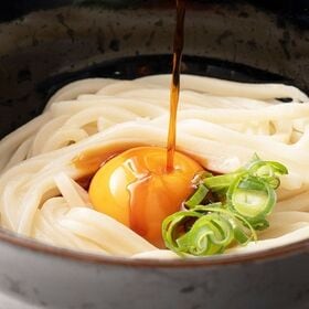 【6食（300g×2袋】讃岐うどん