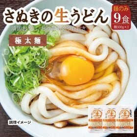【9食/極太麺】頑固父さんが唸る讃岐生うどん（300g×3）極太麺