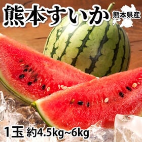 【予約受付】6/2~順次出荷【1玉 約4.5~6kg】熊本県産 すいか(ご家庭用・傷あり) | スイカの名産地 熊本県よりお届け シャリっとした 歯触りのよい食感