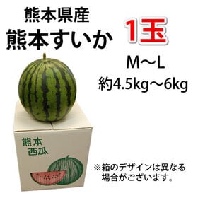 【予約受付】6/2~順次出荷【1玉 約4.5~6kg】熊本県産 すいか(ご家庭用・傷あり)