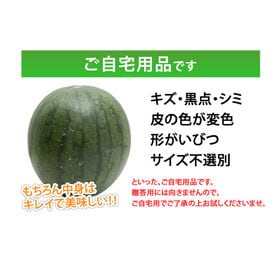 【予約受付】6/2~順次出荷【2玉で計約9~10kg】熊本県産 すいか(ご家庭用・傷あり)