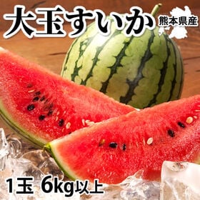 【予約受付】6/11~順次出荷【1玉 6kg以上】熊本県産 ...