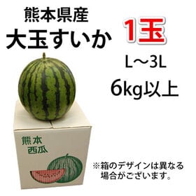 【予約受付】6/11~順次出荷【1玉 6kg以上】熊本県産 大玉すいか(ご家庭用・傷あり)
