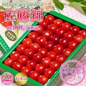 【予約受付】5/3~順次出荷【約300g/大粒2L】母の日ギ...