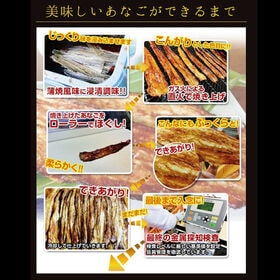 【2袋】「あなごの荒ほぐし焼き」  ★直火焼あなごを丁寧に手仕上げ！こんがりと蒲焼き風に仕上げました