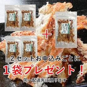 【2袋】「あなごの荒ほぐし焼き」  ★直火焼あなごを丁寧に手仕上げ！こんがりと蒲焼き風に仕上げました
