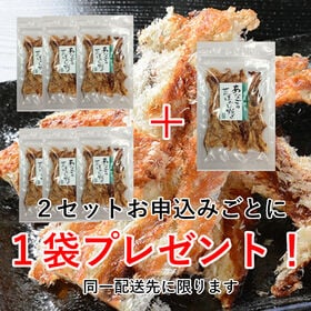【3袋】「あなごの荒ほぐし焼き」  ★直火焼あなごを丁寧に手仕上げ！こんがりと蒲焼き風に仕上げました