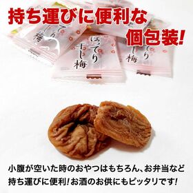 ＜シンプル百科＞【約165g(38袋前後)】種なしさわやか干し梅