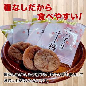 ＜シンプル百科＞【約165g(38袋前後)】種なしさわやか干し梅