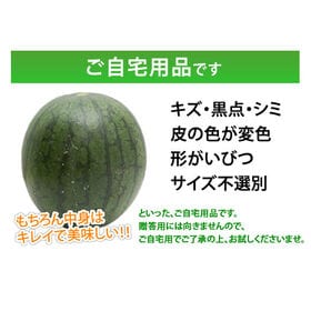 【予約受付】6/2~順次出荷【2玉 約2~2.5kg】熊本県産小玉すいか(ご家庭用・傷あり)