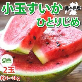 【予約受付】6/2~順次出荷【2玉 約2~3kg】熊本県産 小玉すいか 秀品 | シャキシャキとした食感！スイカと言えば熊本