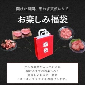 【計5kg6品以上】MEGA盛り肉福袋（家計応援セット）