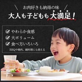 【計5kg6品以上】MEGA盛り肉福袋（家計応援セット）