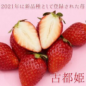 【計1kg/250g×4パック】新品種いちご 奈良県産 古都姫 小粒サイズ