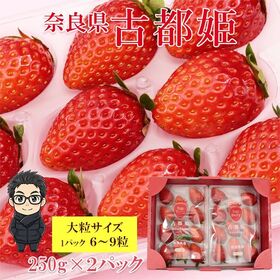 【計500g/250g×2パック】新品種いちご 奈良県産 古都姫 大粒サイズ | 市場に出回らない希少価値の高い穏やかな酸味に濃厚な美味しい苺をお楽しみください♪
