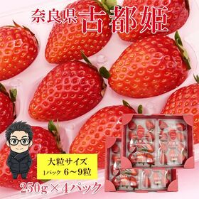 【計1kg/250g×4パック】新品種いちご 奈良県産 古都姫 大粒サイズ | 市場に出回らない希少価値の高い穏やかな酸味に濃厚な美味しい苺をお楽しみください♪