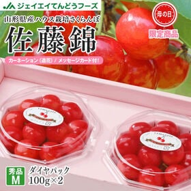【予約受付】【200g】M玉 母の日ギフト ハウスさくらんぼ(佐藤錦)ダイヤパック | メッセージカード・カーネーション(造花)付※5/5-5/10出荷。日時指定不可