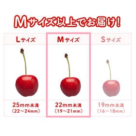 【予約受付】【200g】M玉 母の日ギフト ハウスさくらんぼ(佐藤錦)ダイヤパック