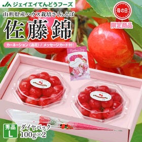【予約受付】【200g】L玉 母の日ギフト ハウスさくらんぼ(佐藤錦)ダイヤパック | メッセージカード・カーネーション(造花)付※5/4-5/9出荷。日時指定不可